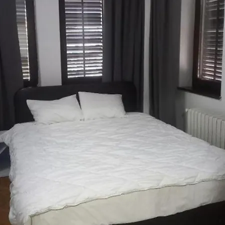 Lion Guest house *
